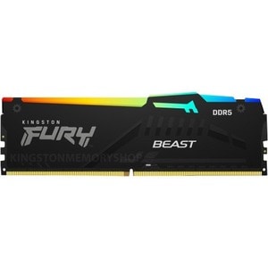 KINGSTON EXPO FURY BEAST RGB