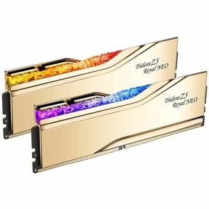 G.SKILL TZ5 Royal Neo G 48G KIT 2x24GB DDR5 6000 CL28-36-36-96 1.35 V EXPO