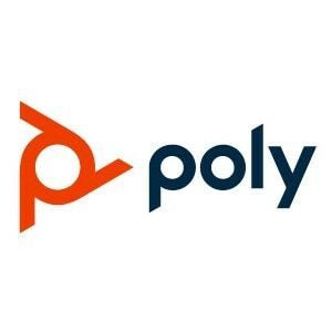 HP Poly BW 5000 EarCushions (2)