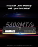 Lexar LD5U16G56C46ST-BGS, UDIMM, DDR5 16GB(1x16GB), 5600MHz, CL46, Limited Lifetime Warranty
