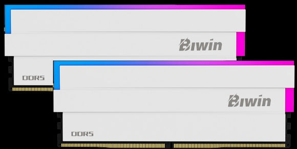 BIWIN DDR5 Memory DW100 RGB 6000mhz 32kits (16GB*2) CL34 Black Black Black Opal (Gaming) BXH53260HX1-D34DS