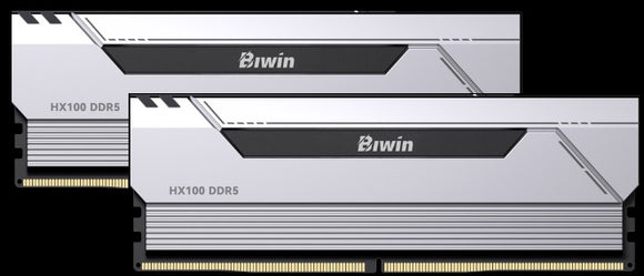 BIWIN DDR5 Memory HX100 Heatsink 6000mhz 32kits (16GB*2) CL34 Silver Black Opal (Gaming) BXH53260HX1-D34DS
