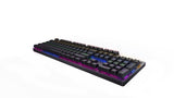 RAPOO V500 Pro Backlit Mechanical Gaming Keyboard