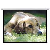 Brateck Standard Electric Projector Screen - 100" 2.0x1.5m (4:3 ratio) with Remote Control (LS)