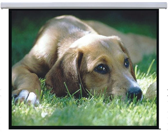 Brateck Auto-lock Manual Projection Screen-72’’(1.45X1.10M) /(4:3 Ratio) (LS)