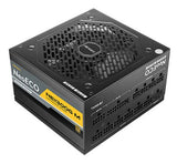 Antec NE 1300w 80+ Gold, Fully-Modular, ATX 3.0, PCI-E 5.0, 12CM FDB Fan, Japanese Caps, Compact ATX Silent Server Grade Power Supply, PSU, 10 wty