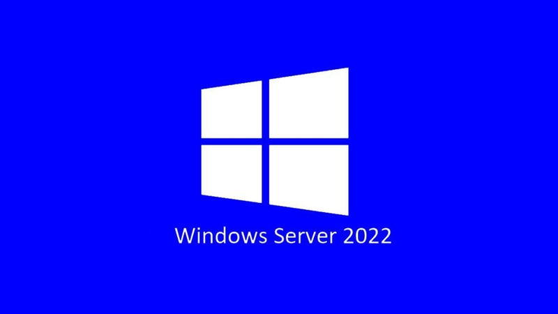 Microsoft Server Standard 2022 ( 24 Core ) OEM Physical Pack - P73-08346 Includes 2 x VM, Does not include any CALs Product Key in pack